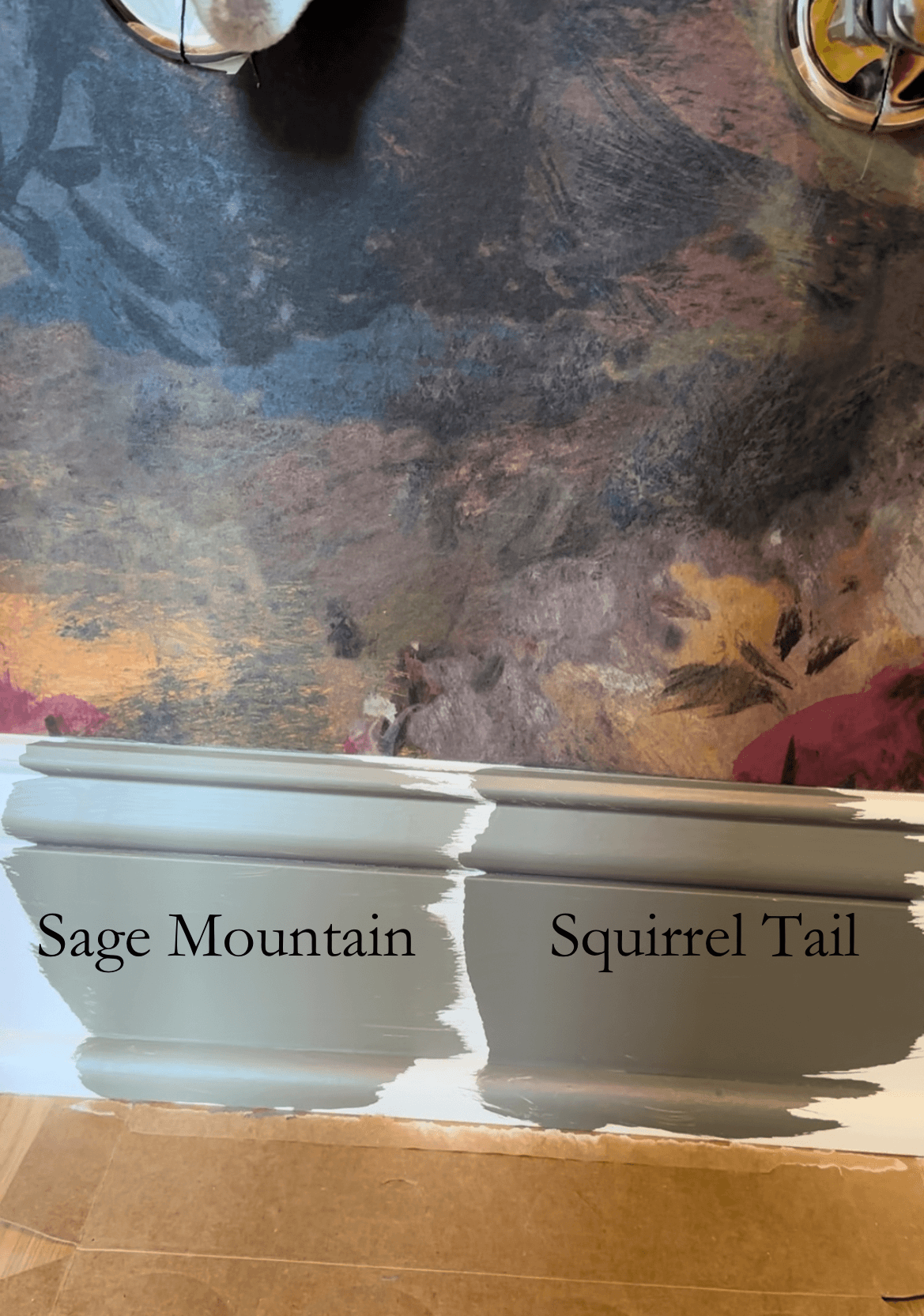 benjamin moore sage mountain paint sample benjamin moore squirrel tail paint sample