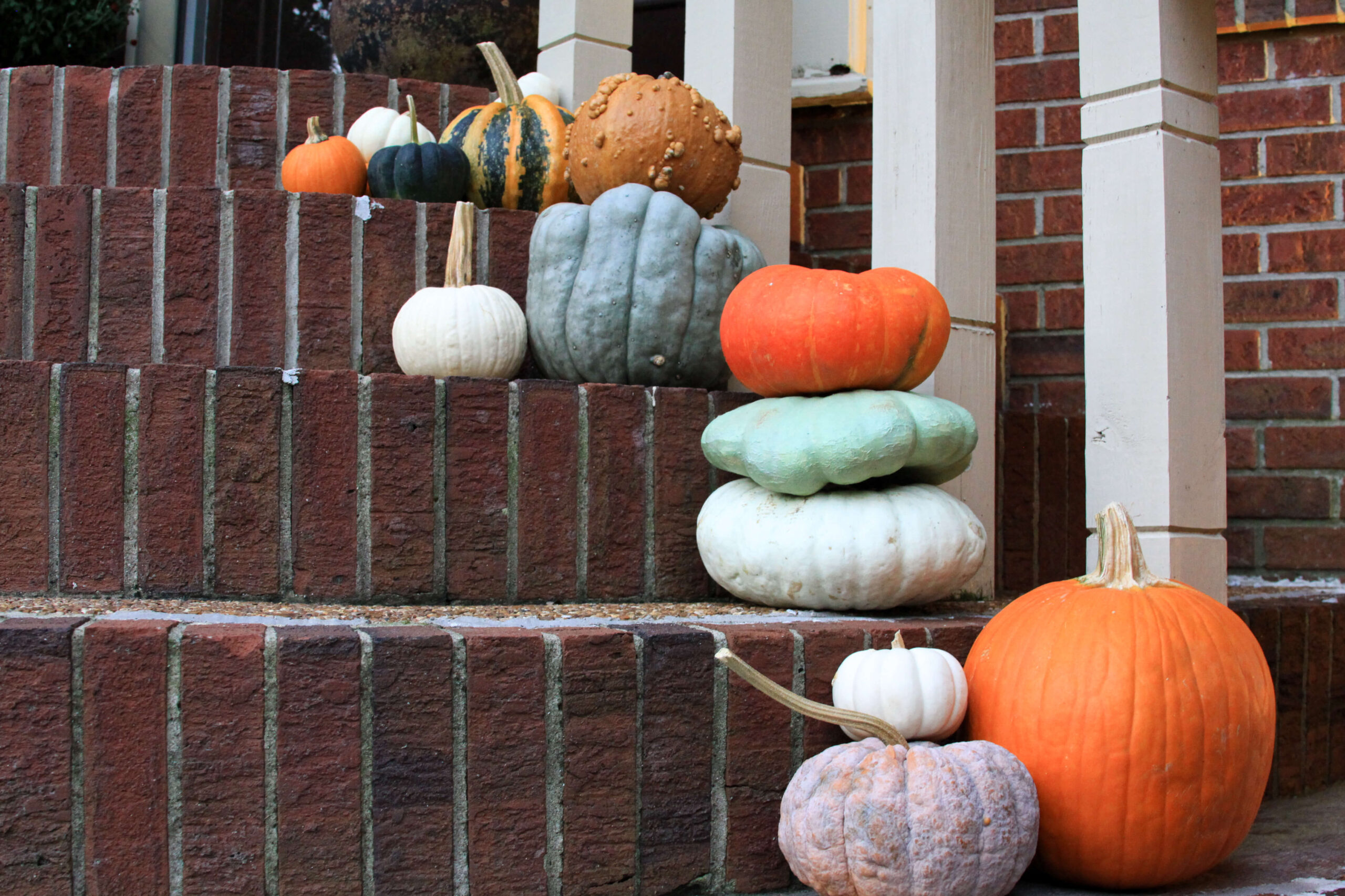 styling-pumpkins-on-front-steps