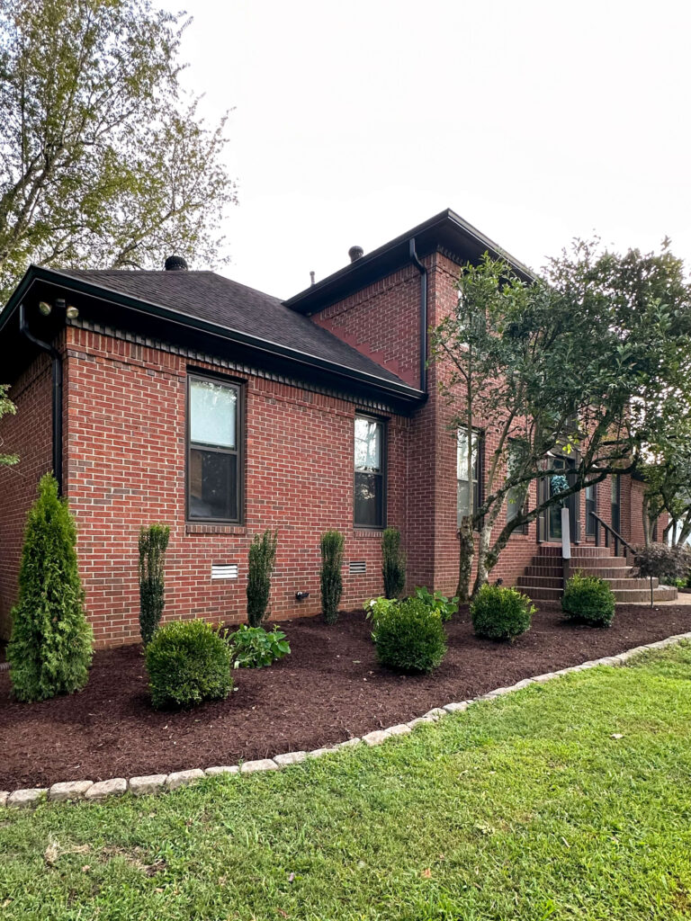 the side garden bed of my new front yard landscaping makeover: pencil hollies, snowball hydrangeas and boxwoods