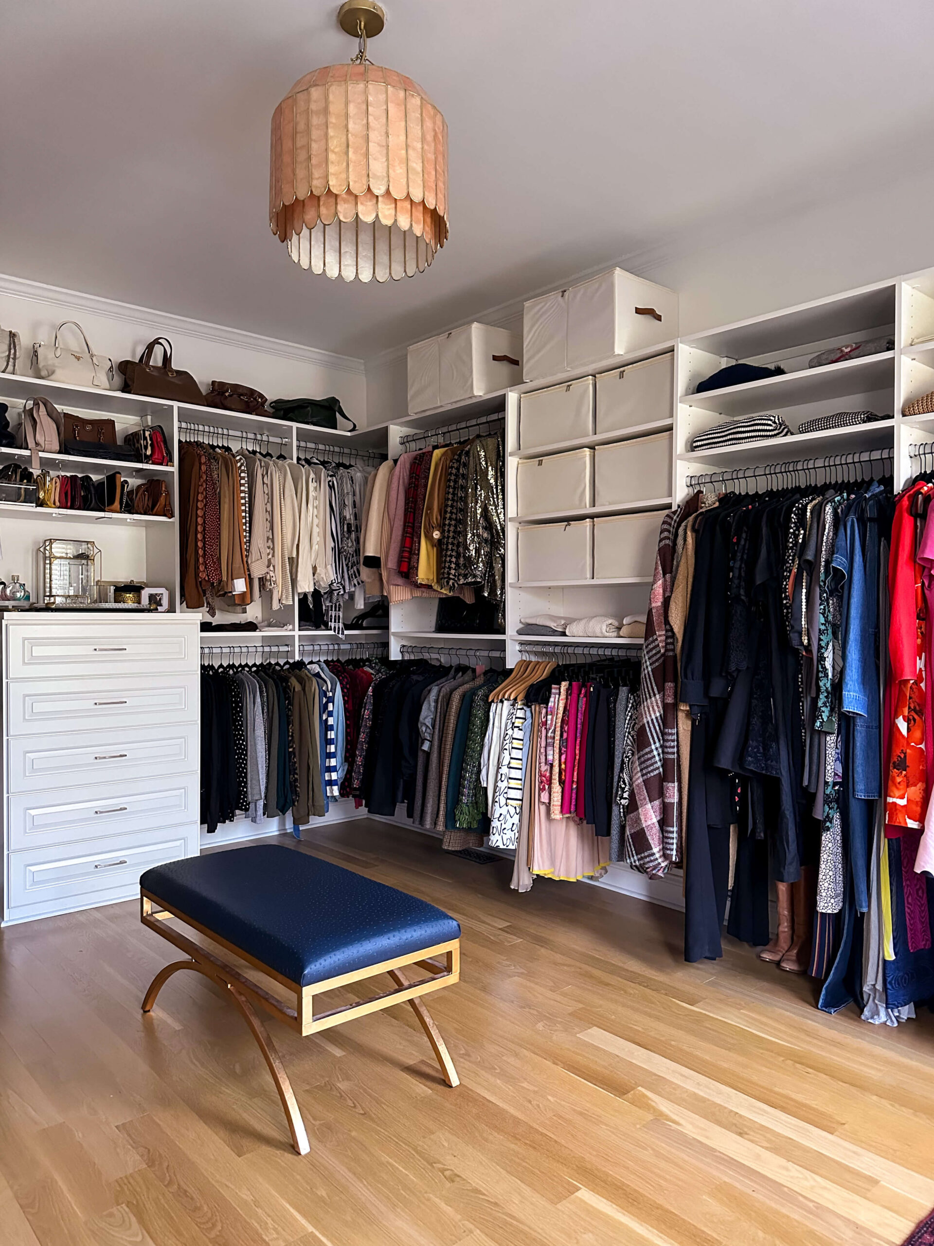 everything i did to get rid of clothes moths in my primary dressing room