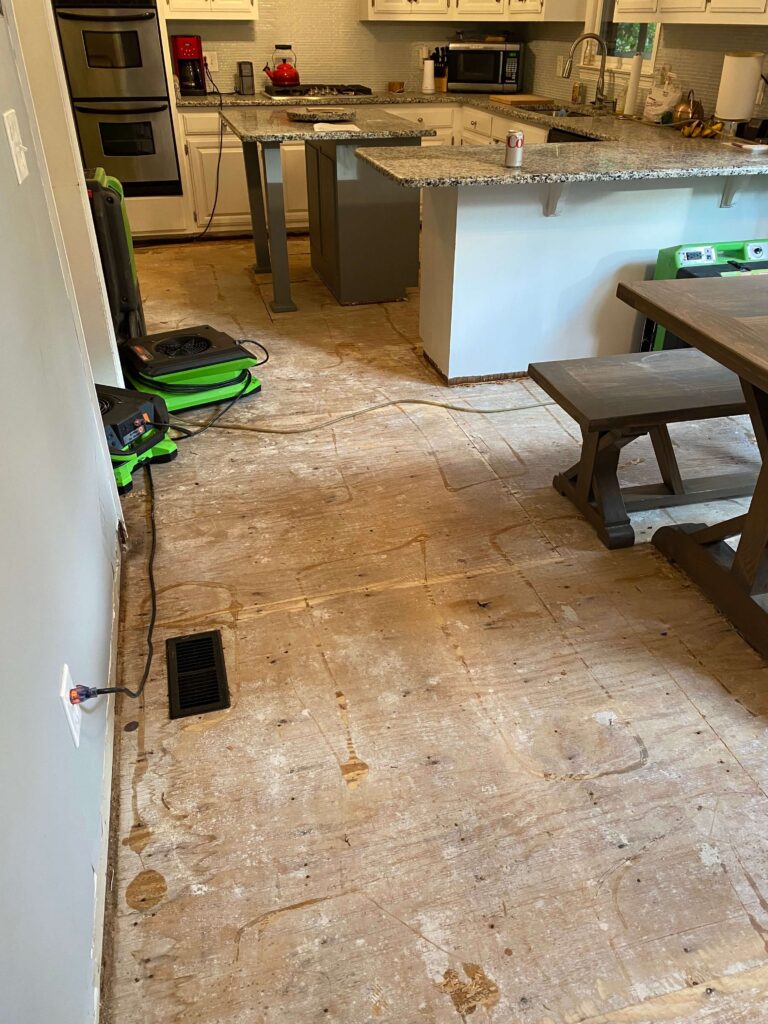 servpro mitigation