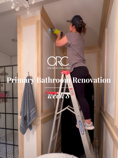 click-for-primary-bathroom-renovation-week-8